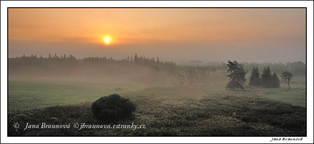 Svítání, Šumava 2010