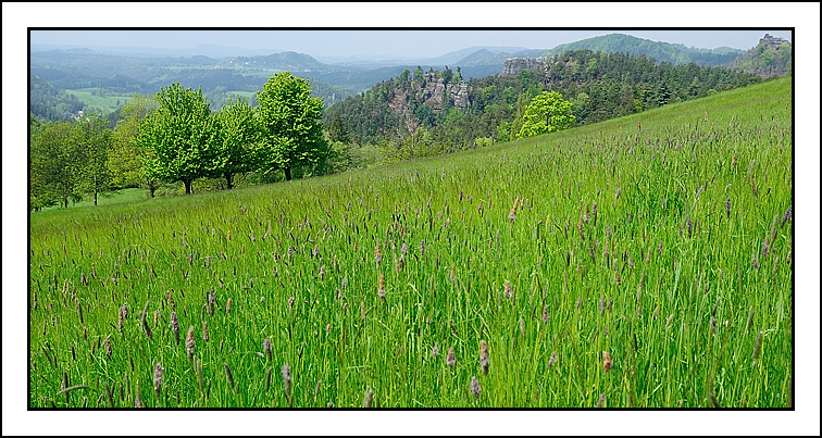 České Švýcarsko (4)